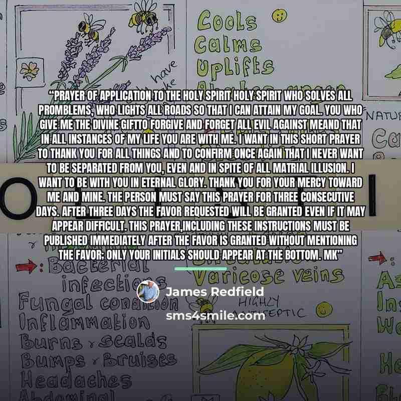 “Prayer of Application to the Holy Spirit Holy Spirit who solves all promblems, who lights all roads so that I can attain my goal. You who give me the divine giftto forgive and forget all evil against meand that in all instances of my life you are with me. I want in this short prayer to thank you…” quote by James Redfield