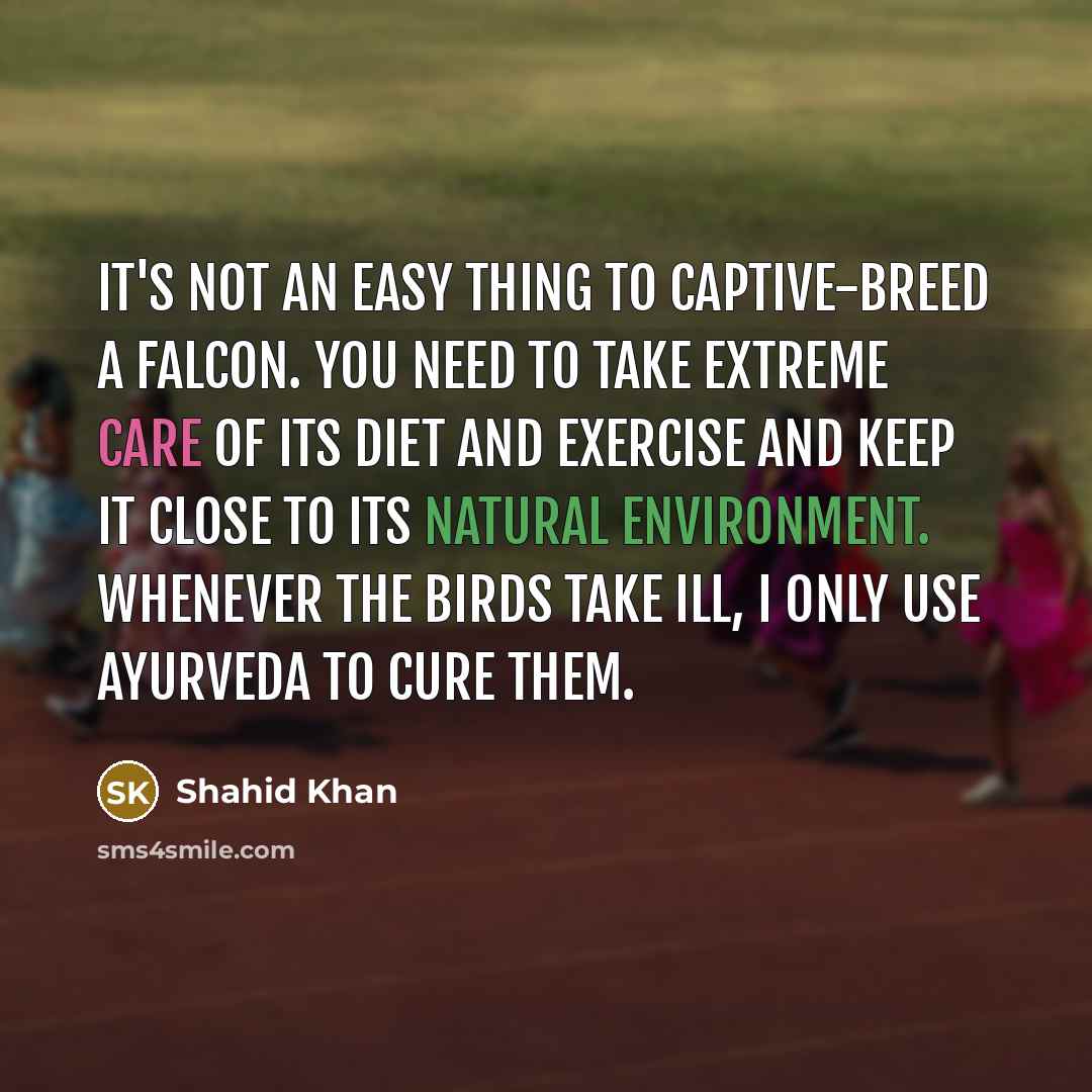 “It's not an easy thing to captive-breed a falcon. You need to take extreme care of its diet and exercise and keep it close to its natural environment. Whenever the birds take ill, I only use Ayurveda to cure them.” quote by Shahid Khan