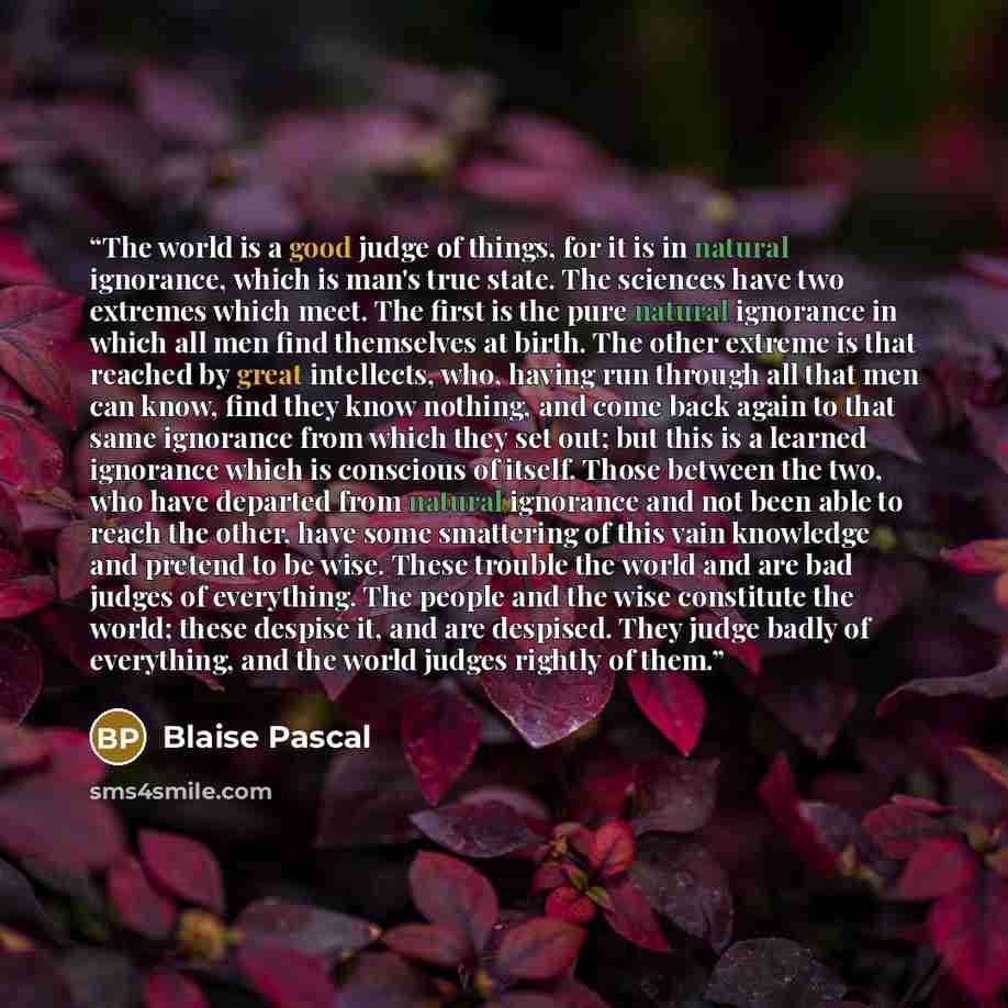 “The world is a good judge of things, for it is in natural ignorance, which is man's true state. The sciences have two extremes which meet. The first is the pure natural ignorance in which all men find themselves at birth. The other extreme is that reached by great intellects, who, having run…” quote by Blaise Pascal