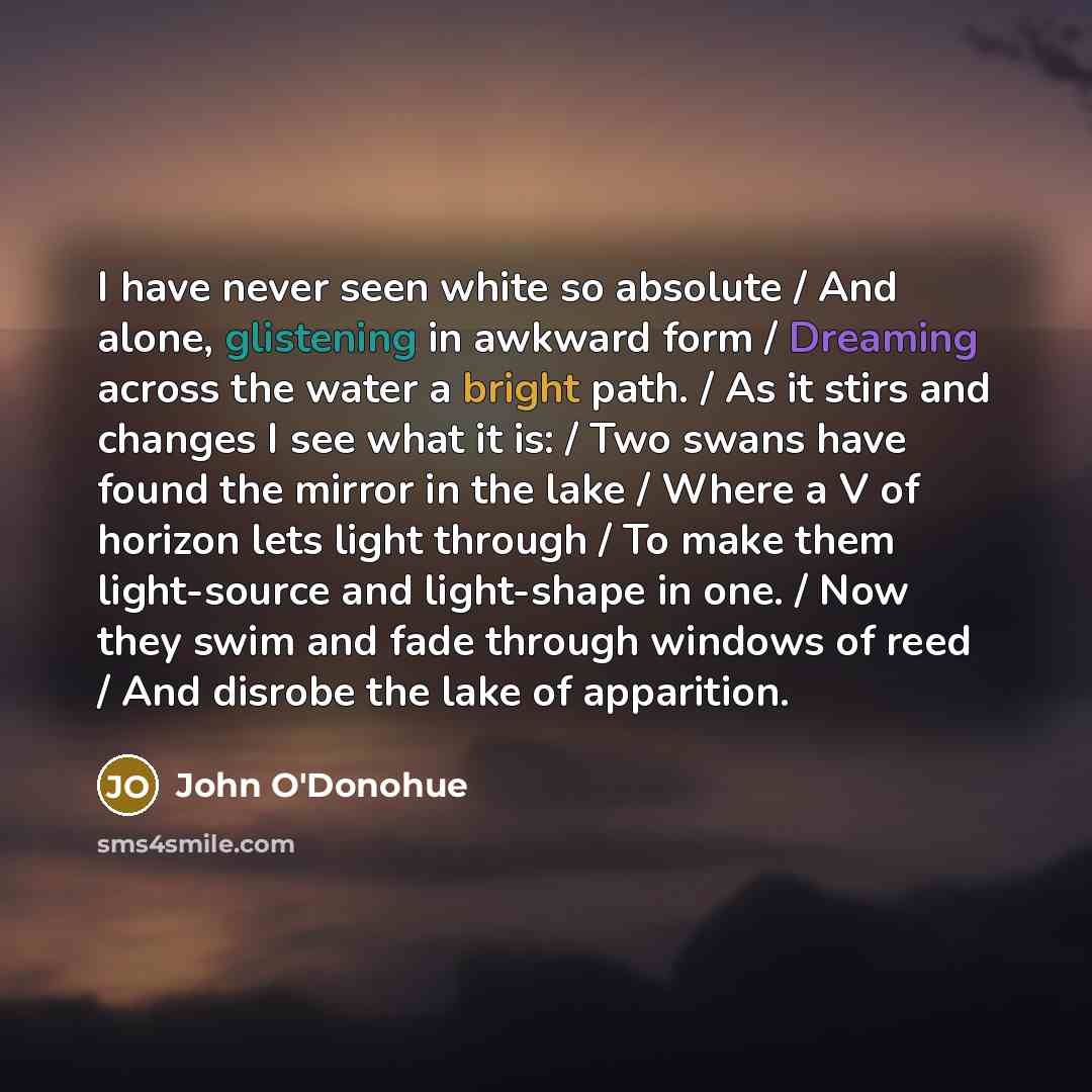 “I have never seen white so absolute / And alone, glistening in awkward form / Dreaming across the water a bright path. / As it stirs and changes I see what it is: / Two swans have found the mirror in the lake / Where a V of horizon lets light through / To make them light-source and light-shape in…” quote by John O'Donohue