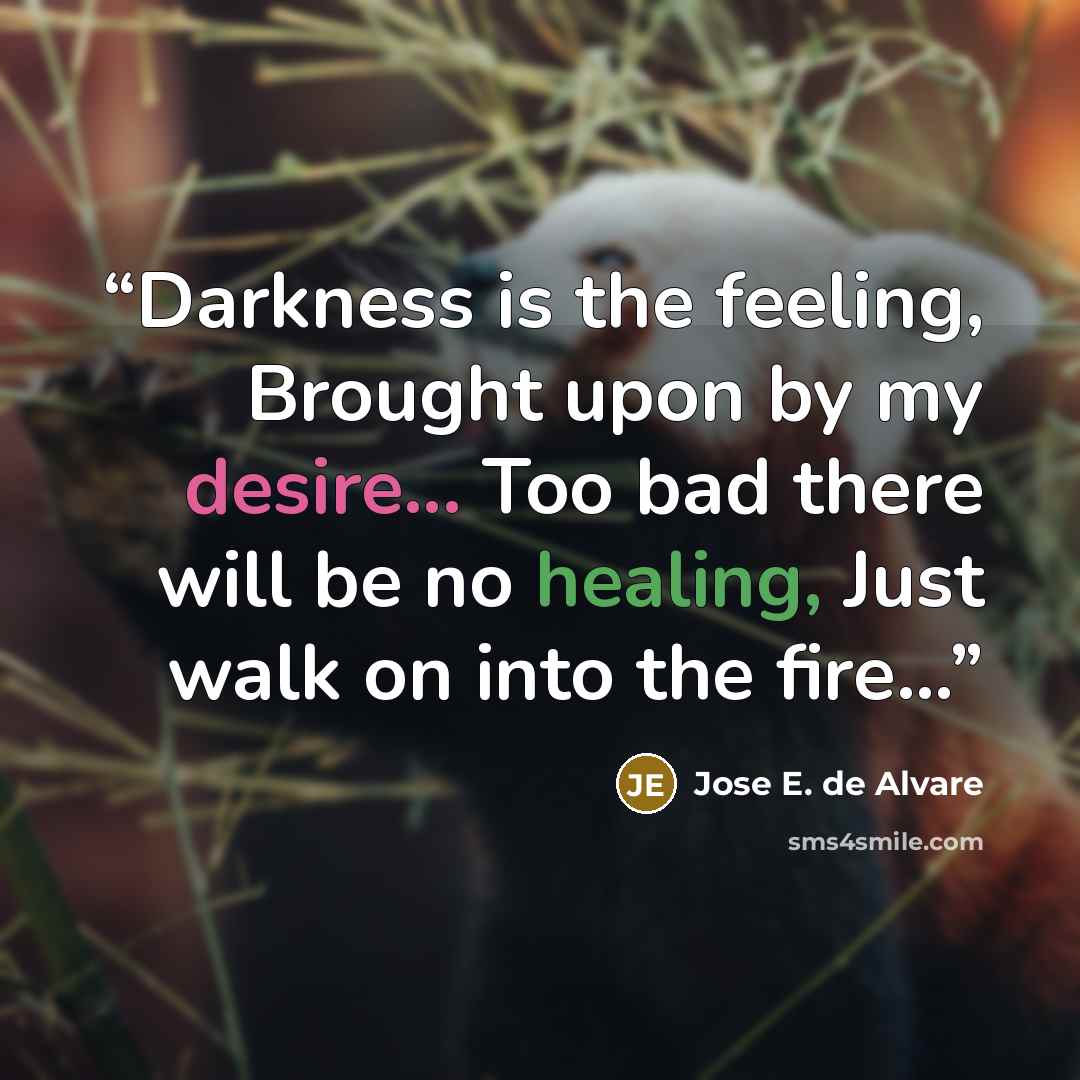 “Darkness is the feeling, Brought upon by my desire... Too bad there will be no healing, Just walk on into the fire…” quote by Jose E. de Alvare
