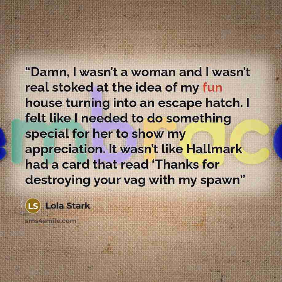 “Damn, I wasn’t a woman and I wasn’t real stoked at the idea of my fun house turning into an escape hatch. I felt like I needed to do something special for her to show my appreciation. It wasn’t like Hallmark had a card that read ‘Thanks for destroying your vag with my spawn” quote by Lola Stark