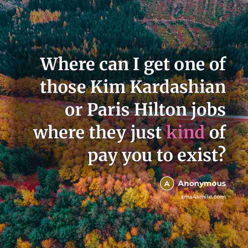 “Where can I get one of those Kim Kardashian or Paris Hilton jobs where they just kind of pay you to exist?” quote by Anonymous