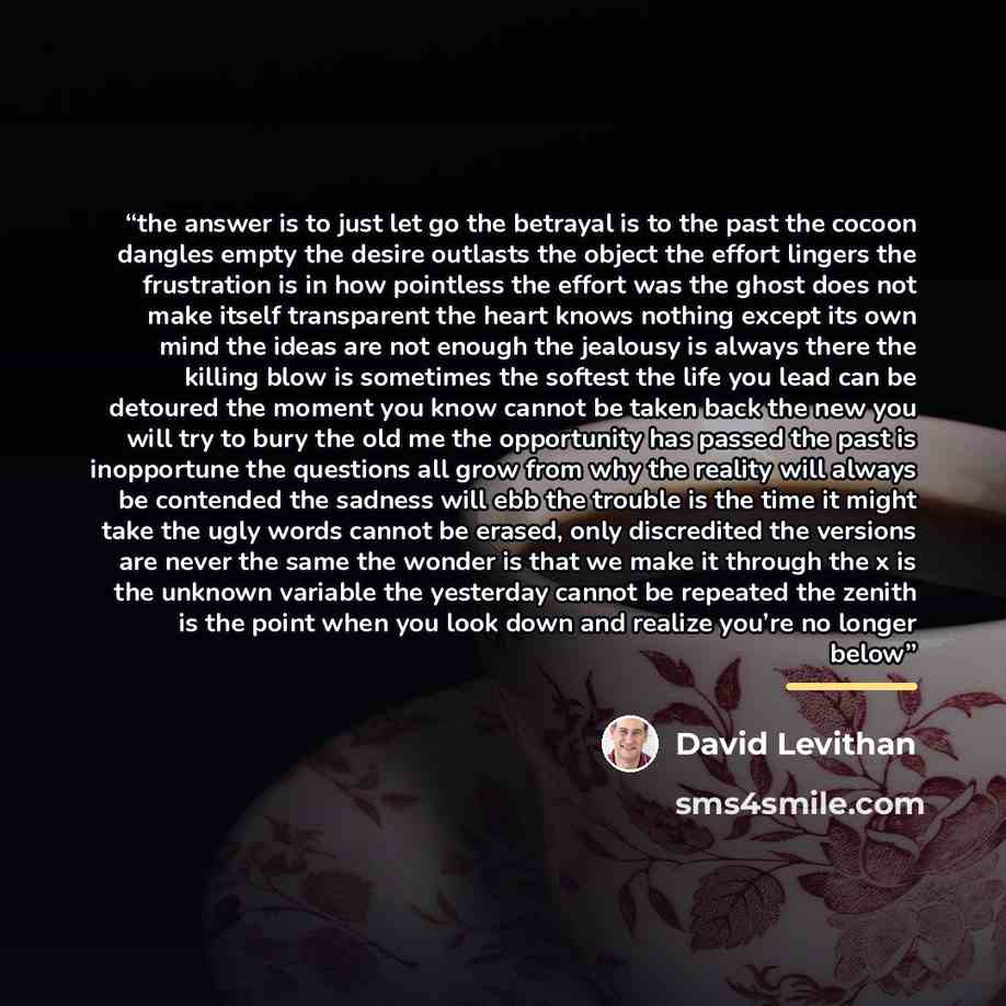 “the answer is to just let go the betrayal is to the past the cocoon dangles empty the desire outlasts the object the effort lingers the frustration is in how pointless the effort was the ghost does not make itself transparent the heart knows nothing except its own mind the ideas are not enough the…” quote by David Levithan
