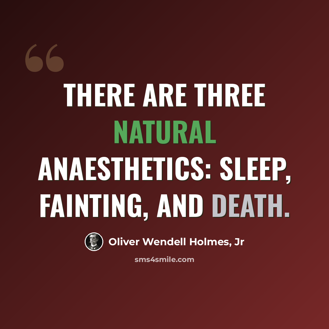 “There are three natural anaesthetics: Sleep, fainting, and death.” quote by Oliver Wendell Holmes, Jr