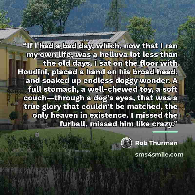 “If I had a bad day, which, now that I ran my own life, was a helluva lot less than the old days, I sat on the floor with Houdini, placed a hand on his broad head, and soaked up endless doggy wonder. A full stomach, a well-chewed toy, a soft couch—through a dog’s eyes, that was a true glory that…” quote by Rob Thurman