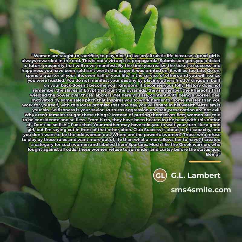 “Women are taught to sacrifice, to play nice, to live an altruistic life because a good girl is always rewarded in the end. This is not a virtue; it is propaganda. Submission gets you a ticket to future prosperity that will never manifest. By the time you realize the ticket to success and happiness…” quote by G.L. Lambert