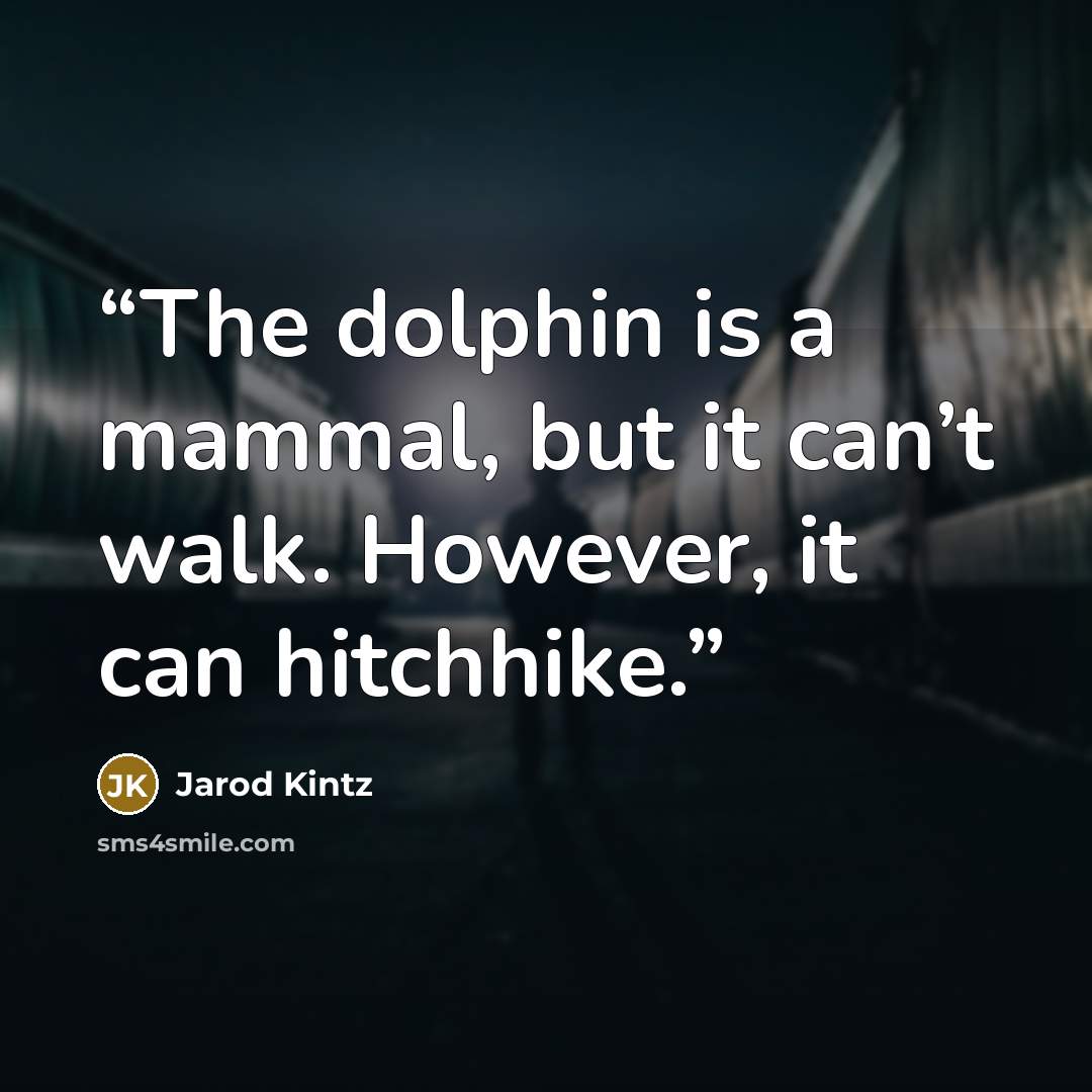 “The dolphin is a mammal, but it can’t walk. However, it can hitchhike.” quote by Jarod Kintz