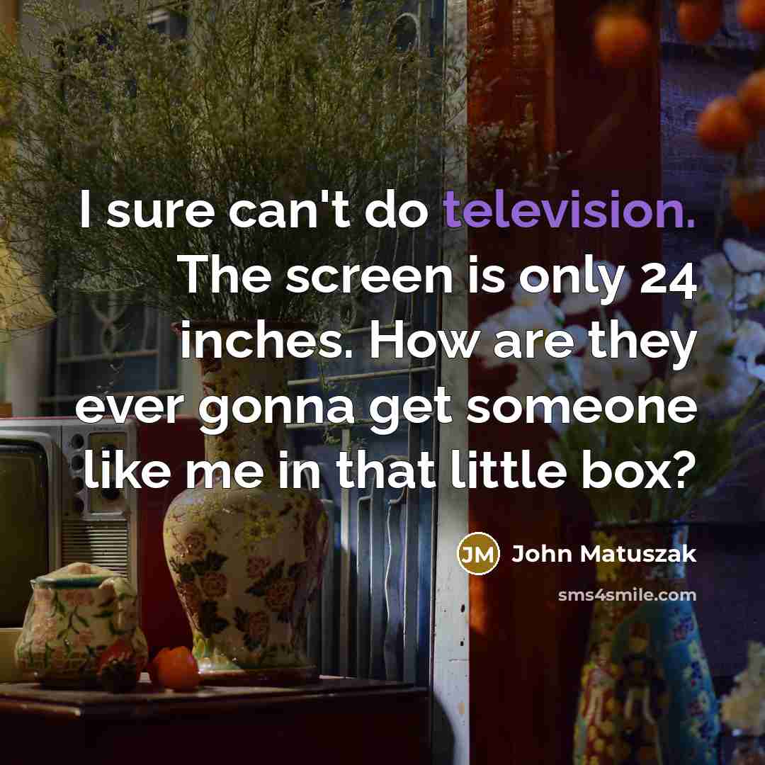 “I sure can't do television. The screen is only 24 inches. How are they ever gonna get someone like me in that little box?” quote by John Matuszak