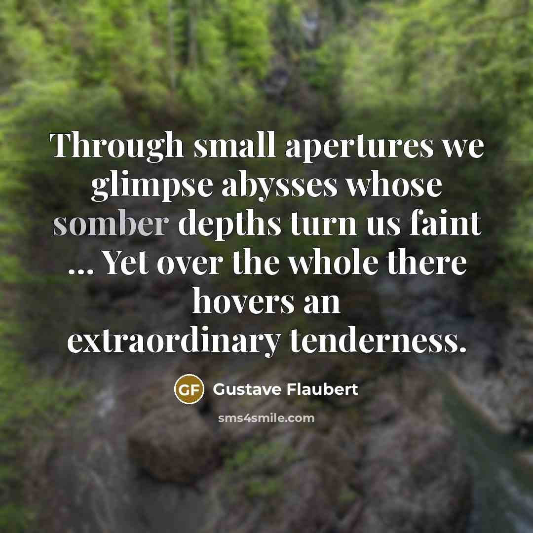 “Through small apertures we glimpse abysses whose somber depths turn us faint … Yet over the whole there hovers an extraordinary tenderness.” quote by Gustave Flaubert