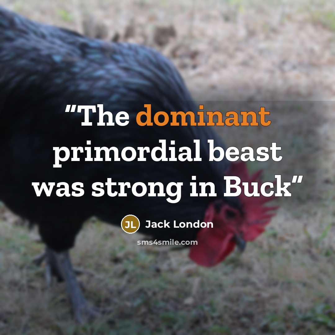 “The dominant primordial beast was strong in Buck” quote by Jack London
