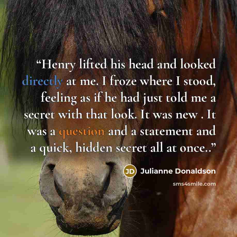 “Henry lifted his head and looked directly at me. I froze where I stood, feeling as if he had just told me a secret with that look. It was new . It was a question and a statement and a quick, hidden secret all at once..” quote by Julianne Donaldson