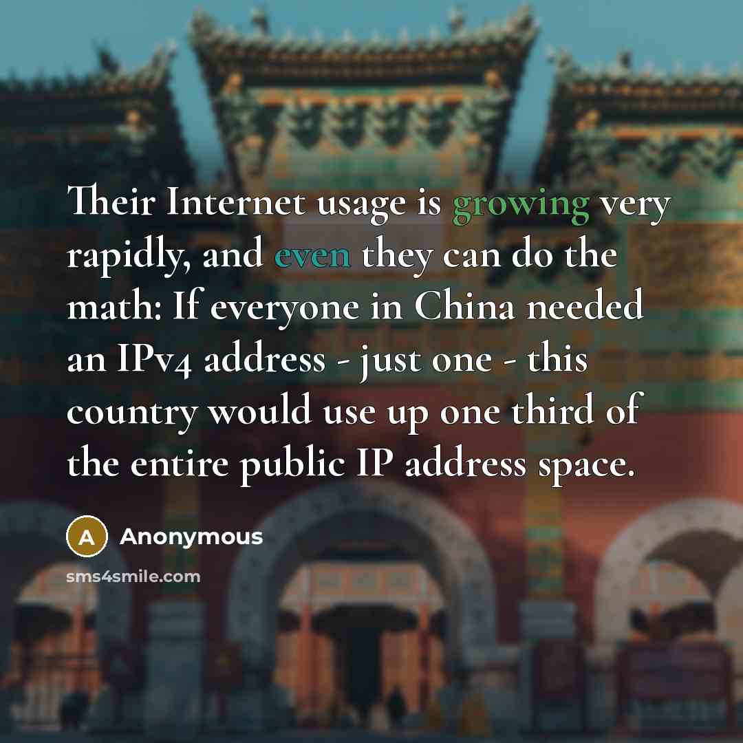 “Their Internet usage is growing very rapidly, and even they can do the math: If everyone in China needed an IPv4 address - just one - this country would use up one third of the entire public IP address space.” quote by Anonymous