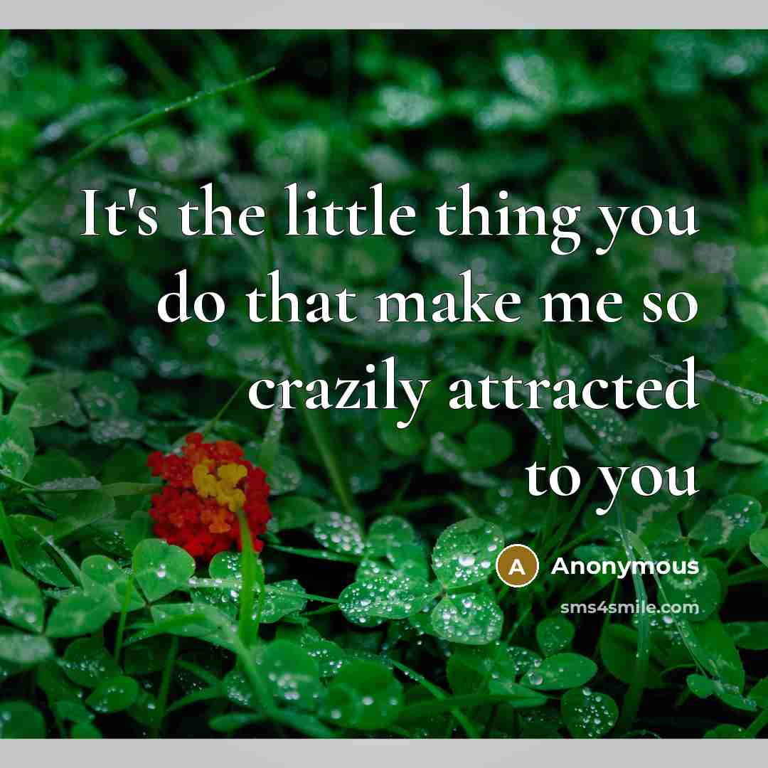 “It's the little thing you do that make me so crazily attracted to you” quote by Anonymous