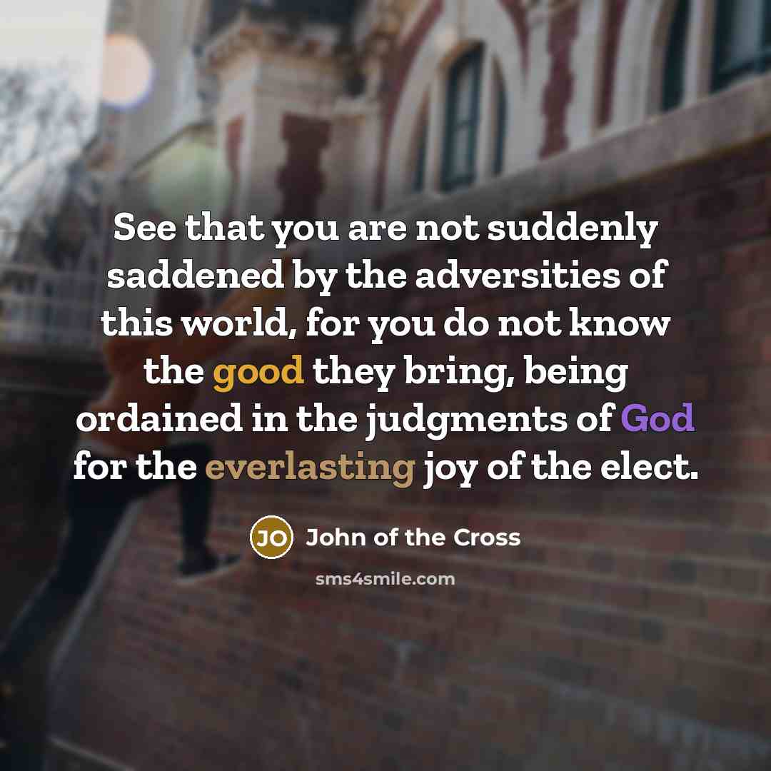 “See that you are not suddenly saddened by the adversities of this world, for you do not know the good they bring, being ordained in the judgments of God for the everlasting joy of the elect.” quote by John of the Cross