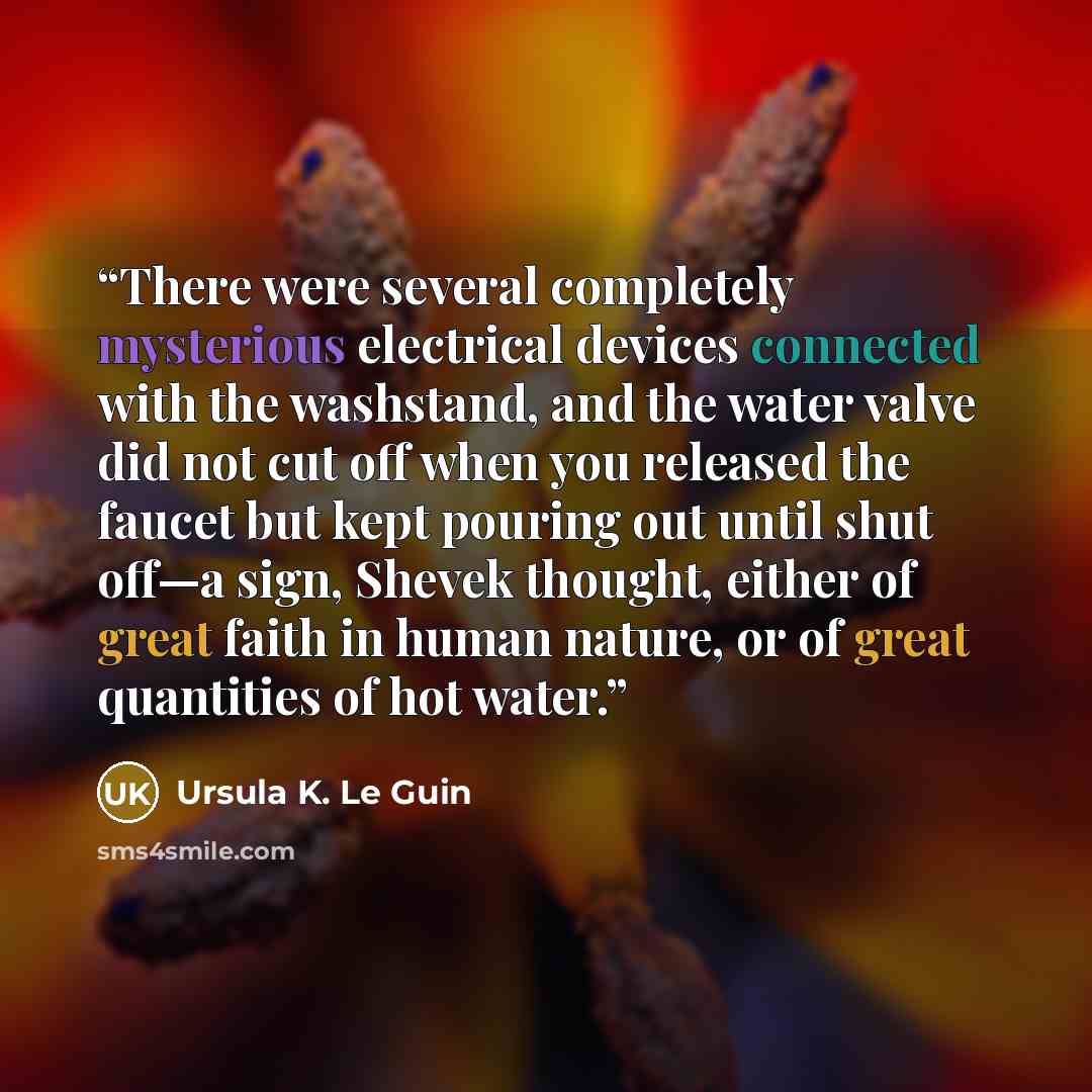 “There were several completely mysterious electrical devices connected with the washstand, and the water valve did not cut off when you released the faucet but kept pouring out until shut off—a sign, Shevek thought, either of great faith in human nature, or of great quantities of hot water.” quote by Ursula K. Le Guin