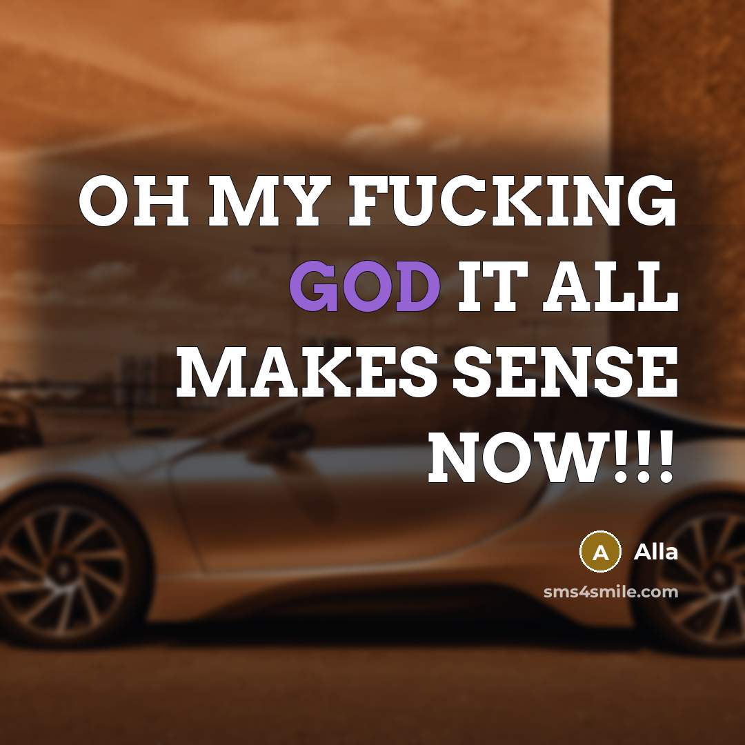 “OH MY FUCKING GOD IT ALL MAKES SENSE NOW!!!” quote by Alla