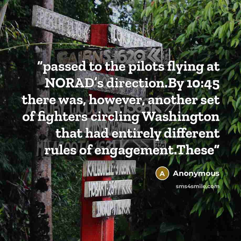 “passed to the pilots flying at NORAD’s direction.By 10:45 there was, however, another set of fighters circling Washington that had entirely different rules of engagement.These” quote by Anonymous