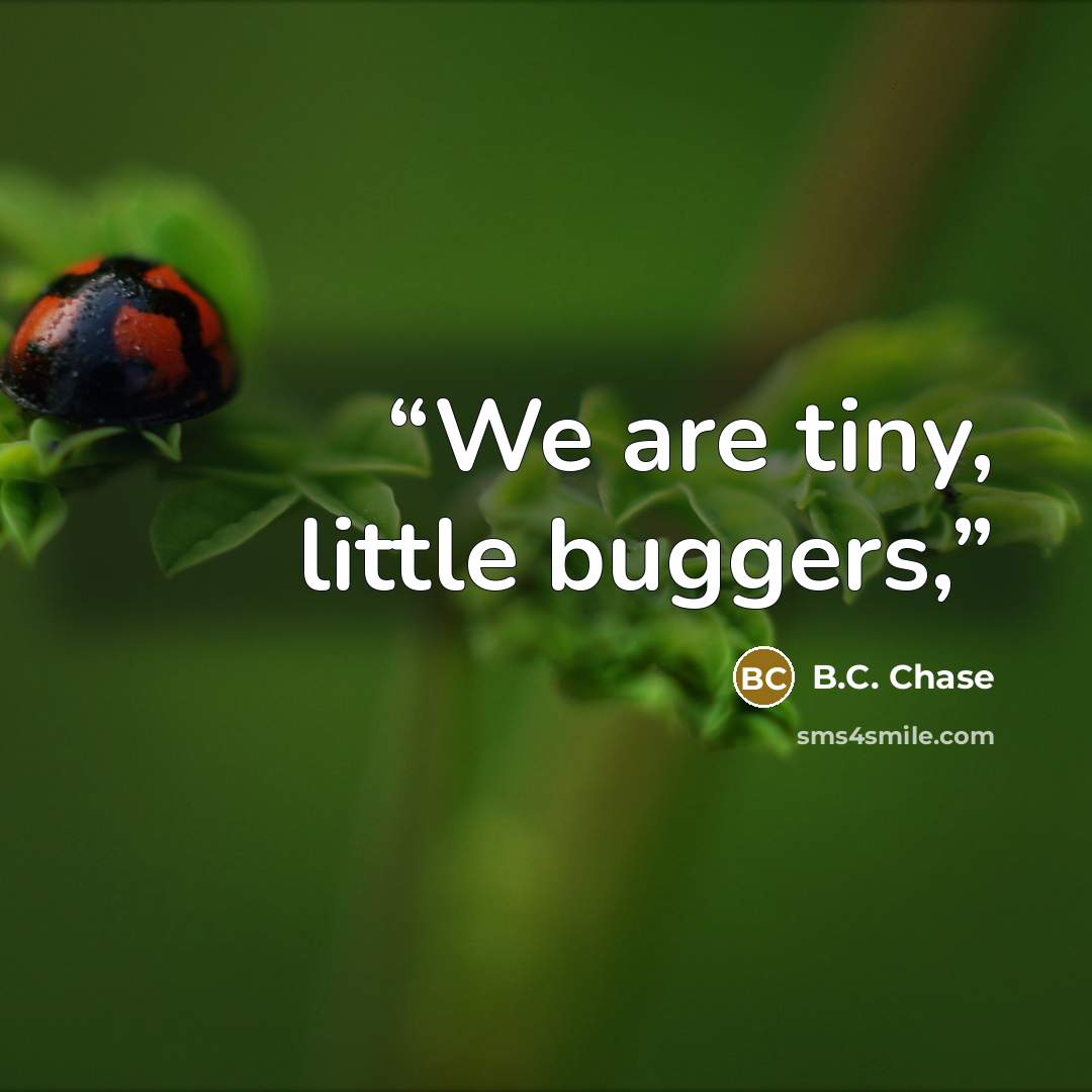 “We are tiny, little buggers,” quote by B.C. Chase