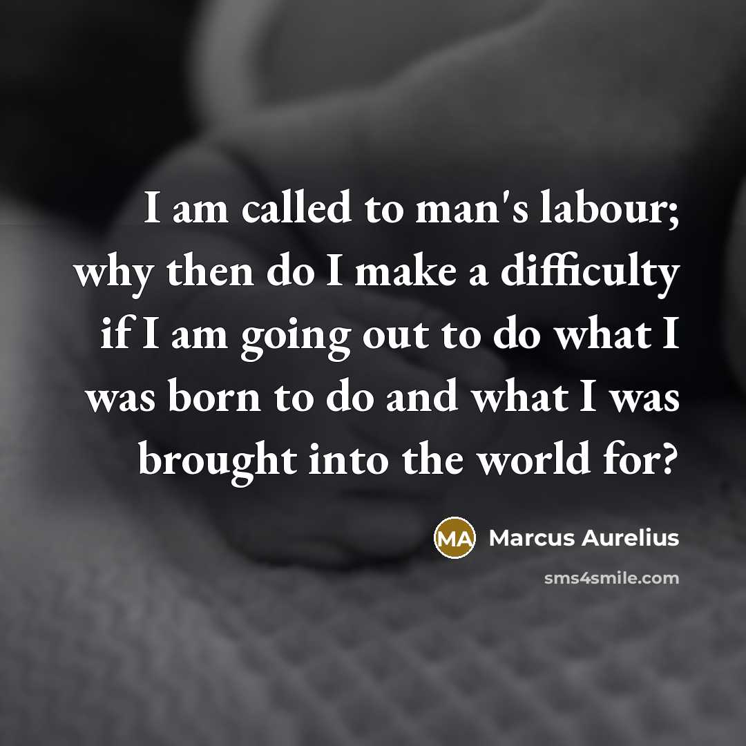 “I am called to man's labour; why then do I make a difficulty if I am going out to do what I was born to do and what I was brought into the world for?” quote by Marcus Aurelius