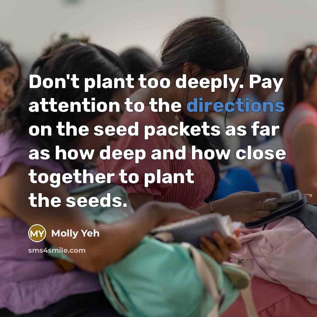 “Don't plant too deeply. Pay attention to the directions on the seed packets as far as how deep and how close together to plant the seeds.” quote by Molly Yeh