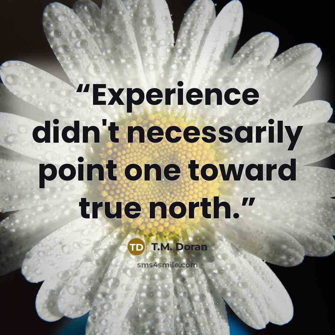 “Experience didn't necessarily point one toward true north.” quote by T.M. Doran