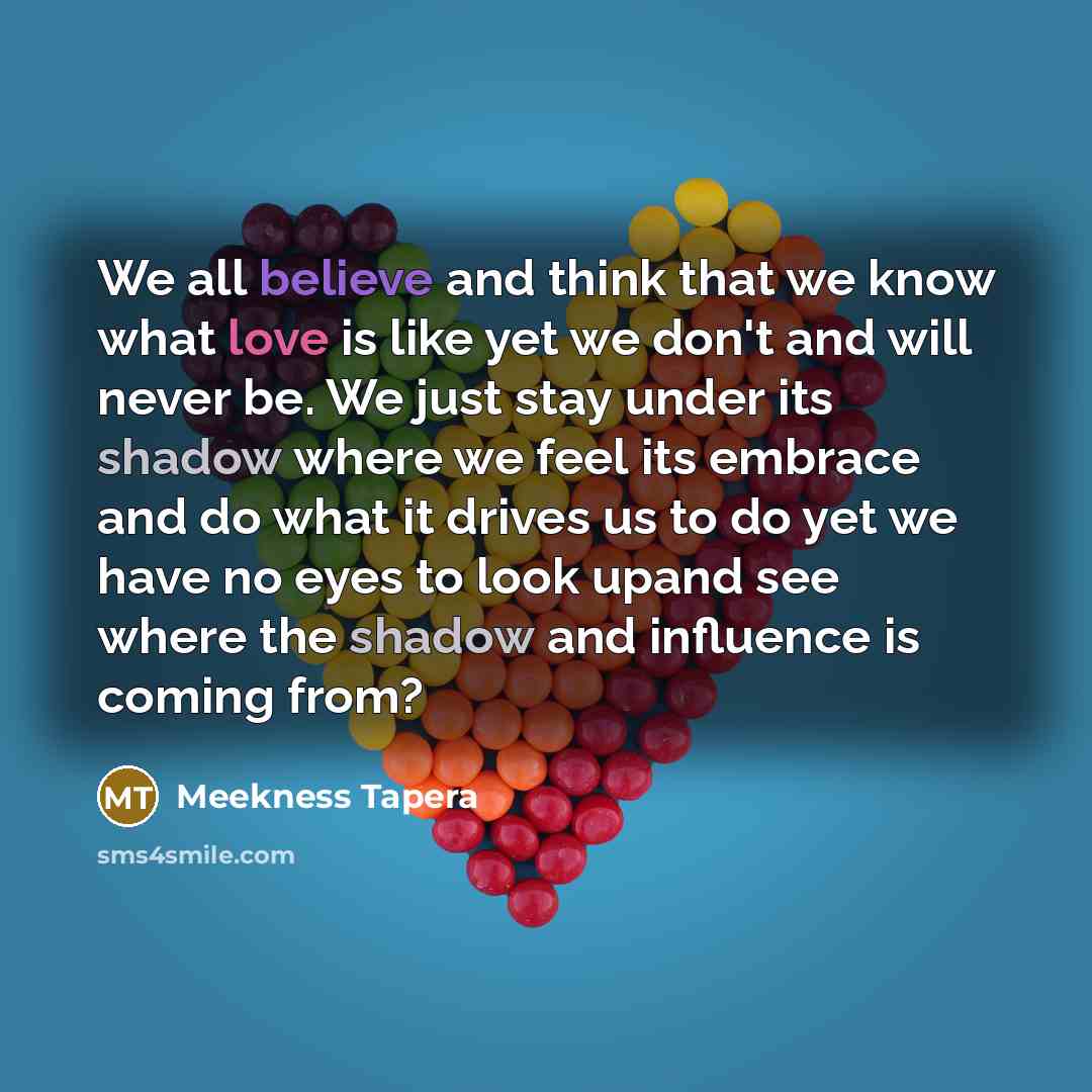 “We all believe and think that we know what love is like yet we don't and will never be. We just stay under its shadow where we feel its embrace and do what it drives us to do yet we have no eyes to look upand see where the shadow and influence is coming from?” quote by Meekness Tapera