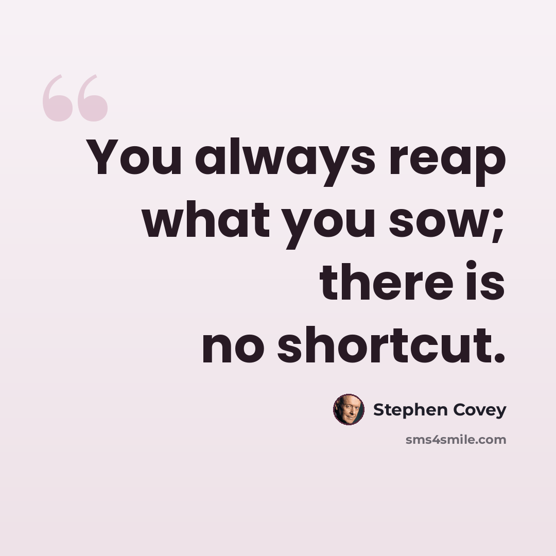 “You always reap what you sow; there is no shortcut.” quote by Stephen Covey