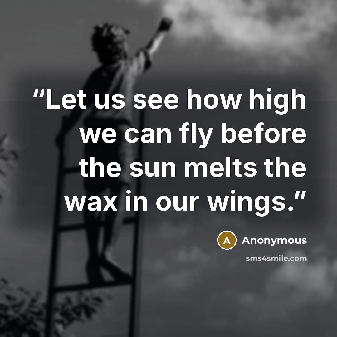“Let us see how high we can fly before the sun melts the wax in our wings.” quote by Anonymous