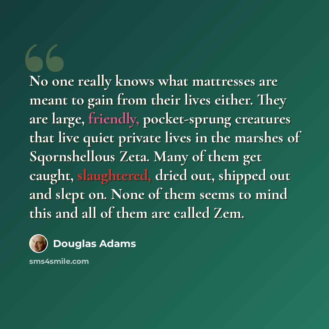 “No one really knows what mattresses are meant to gain from their lives either. They are large, friendly, pocket-sprung creatures that live quiet private lives in the marshes of Sqornshellous Zeta. Many of them get caught, slaughtered, dried out, shipped out and slept on. None of them seems to mind…” quote by Douglas Adams