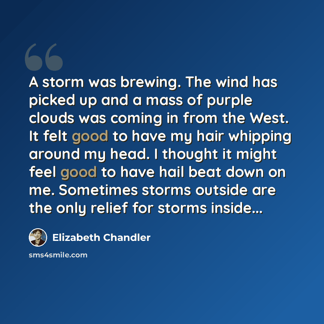 “A storm was brewing. The wind has picked up and a mass of purple clouds was coming in from the West. It felt good to have my hair whipping around my head. I thought it might feel good to have hail beat down on me. Sometimes storms outside are the only relief for storms inside...” quote by Elizabeth Chandler