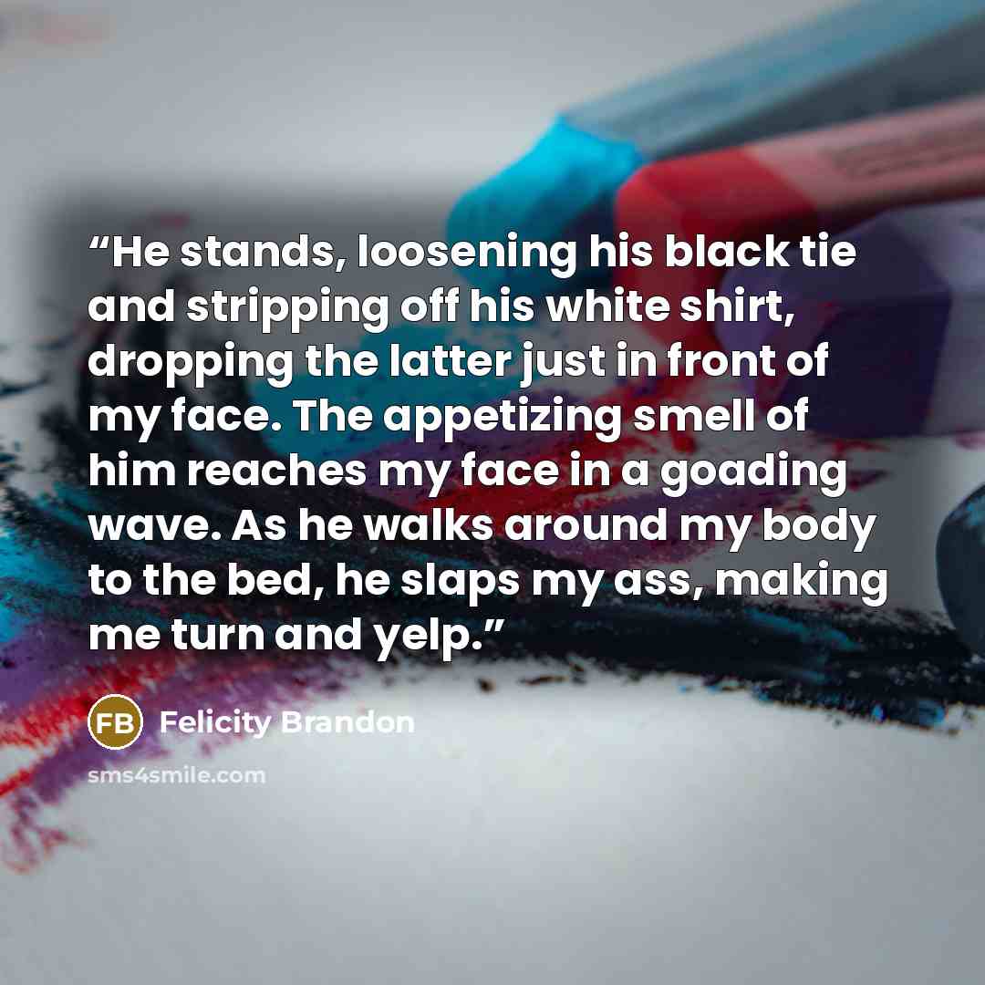 “He stands, loosening his black tie and stripping off his white shirt, dropping the latter just in front of my face. The appetizing smell of him reaches my face in a goading wave. As he walks around my body to the bed, he slaps my ass, making me turn and yelp.” quote by Felicity Brandon