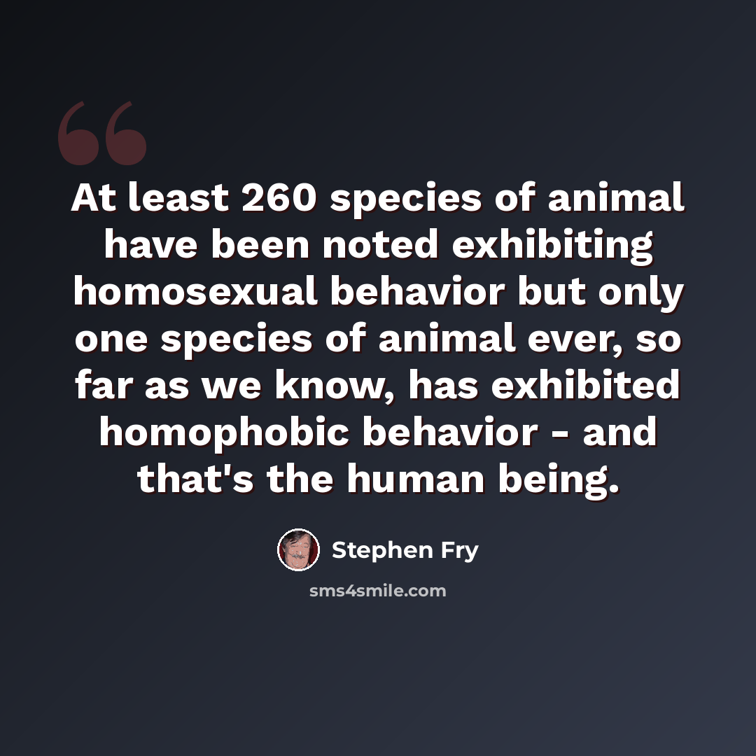 “At least 260 species of animal have been noted exhibiting homosexual behavior but only one species of animal ever, so far as we know, has exhibited homophobic behavior - and that's the human being.” quote by Stephen Fry