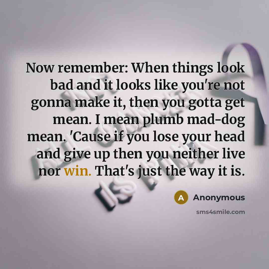 “Now remember: When things look bad and it looks like you're not gonna make it, then you gotta get mean. I mean plumb mad-dog mean. 'Cause if you lose your head and give up then you neither live nor win. That's just the way it is.” quote by Anonymous