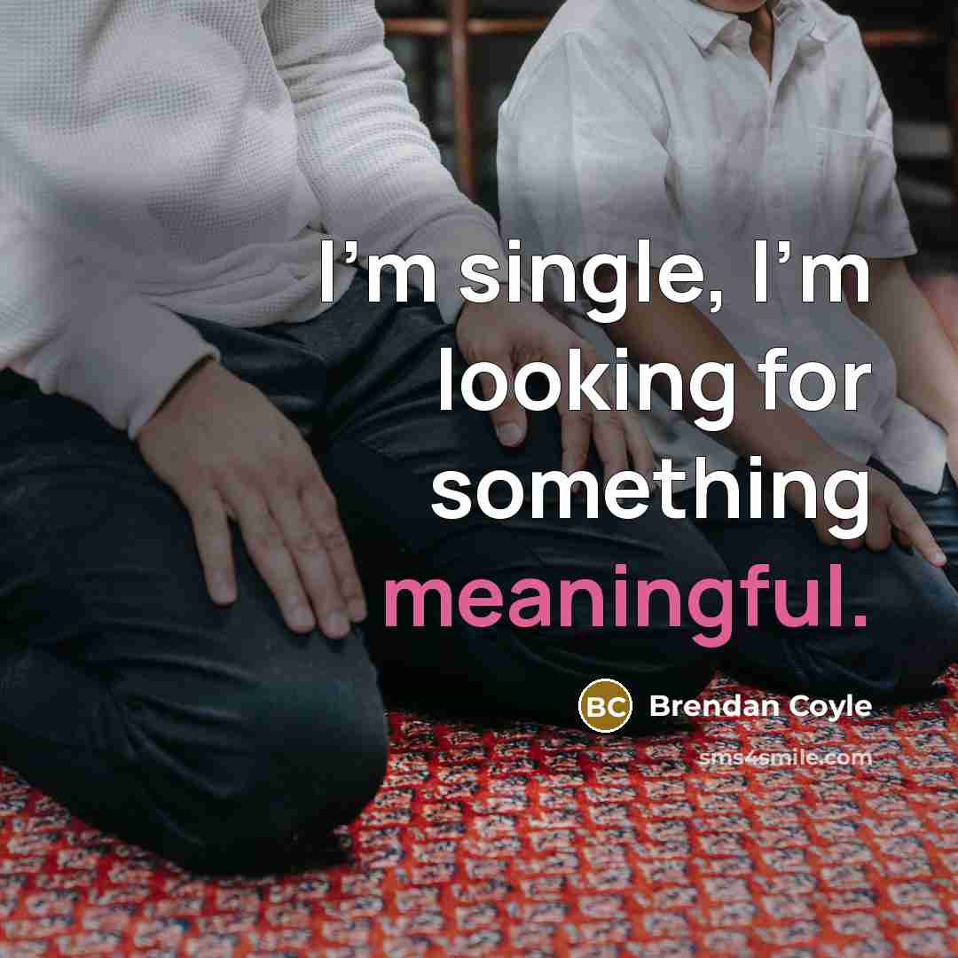 “I'm single, I'm looking for something meaningful.” quote by Brendan Coyle