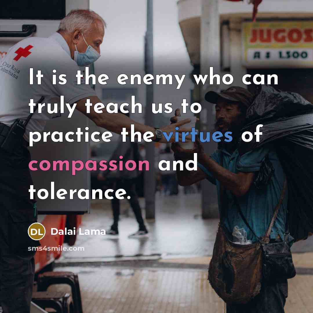 “It is the enemy who can truly teach us to practice the virtues of compassion and tolerance.” quote by Dalai Lama