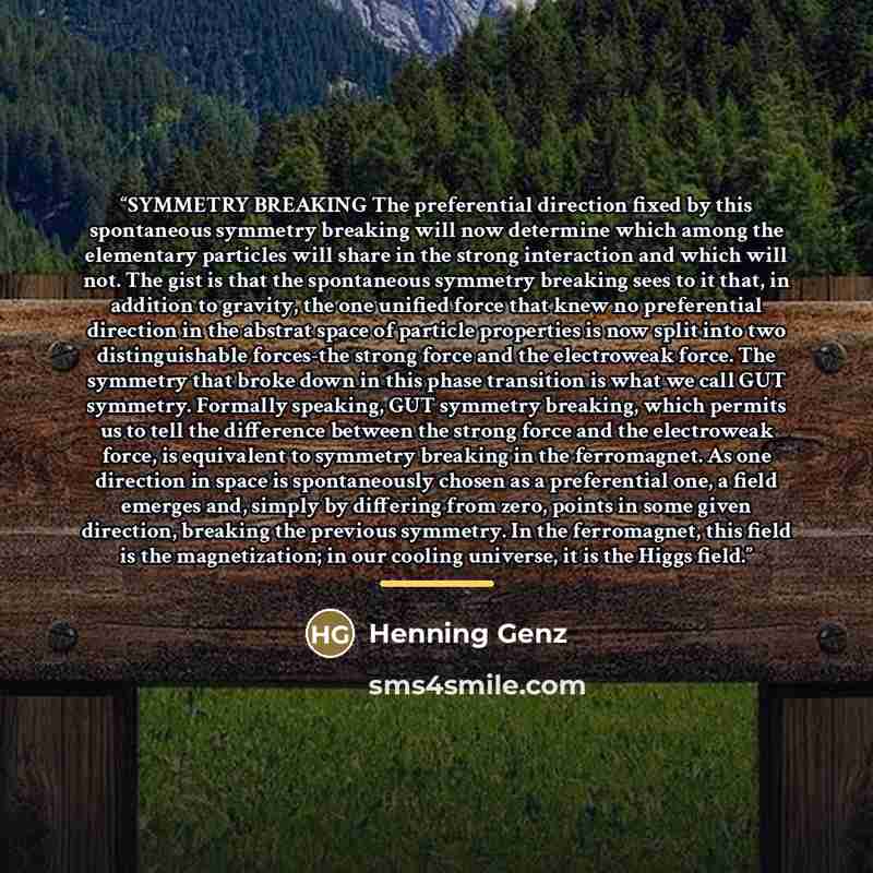 “SYMMETRY BREAKING The preferential direction fixed by this spontaneous symmetry breaking will now determine which among the elementary particles will share in the strong interaction and which will not. The gist is that the spontaneous symmetry breaking sees to it that, in addition to gravity, the…” quote by Henning Genz
