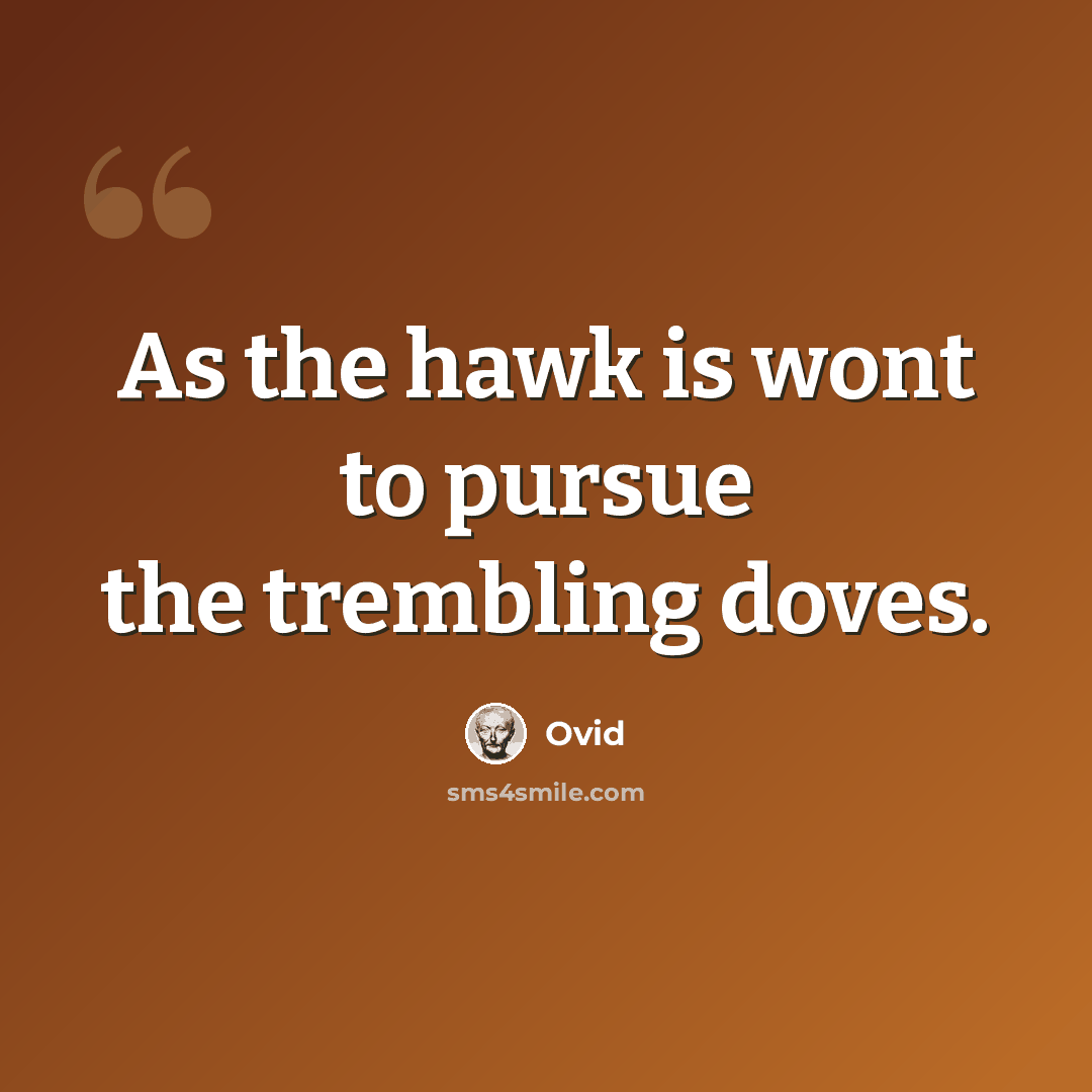 “As the hawk is wont to pursue the trembling doves.” quote by Ovid