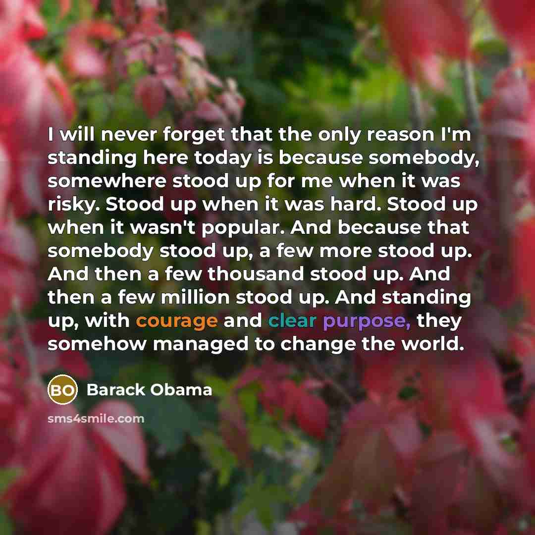 “I will never forget that the only reason I'm standing here today is because somebody, somewhere stood up for me when it was risky. Stood up when it was hard. Stood up when it wasn't popular. And because that somebody stood up, a few more stood up. And then a few thousand stood up. And then a few…” quote by Barack Obama