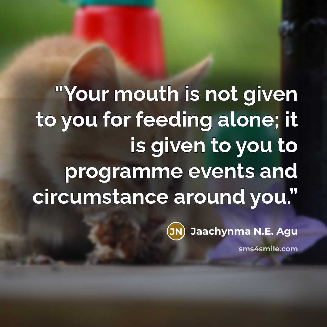 “Your mouth is not given to you for feeding alone; it is given to you to programme events and circumstance around you.” quote by Jaachynma N.E. Agu