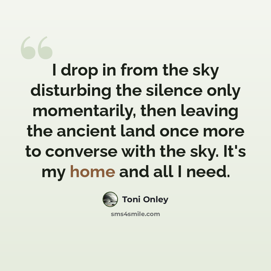 “I drop in from the sky disturbing the silence only momentarily, then leaving the ancient land once more to converse with the sky. It's my home and all I need.” quote by Toni Onley