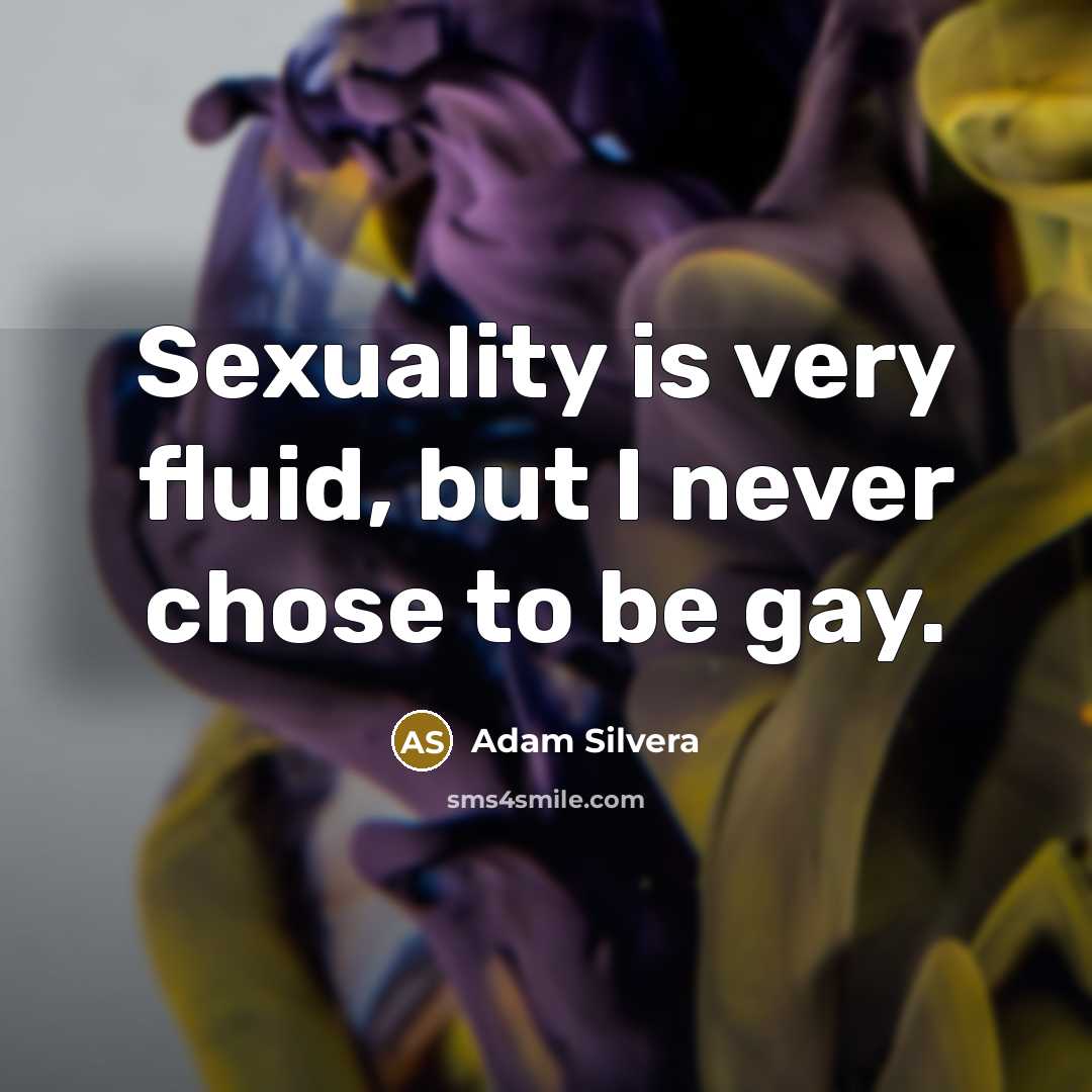 “Sexuality is very fluid, but I never chose to be gay.” quote by Adam Silvera