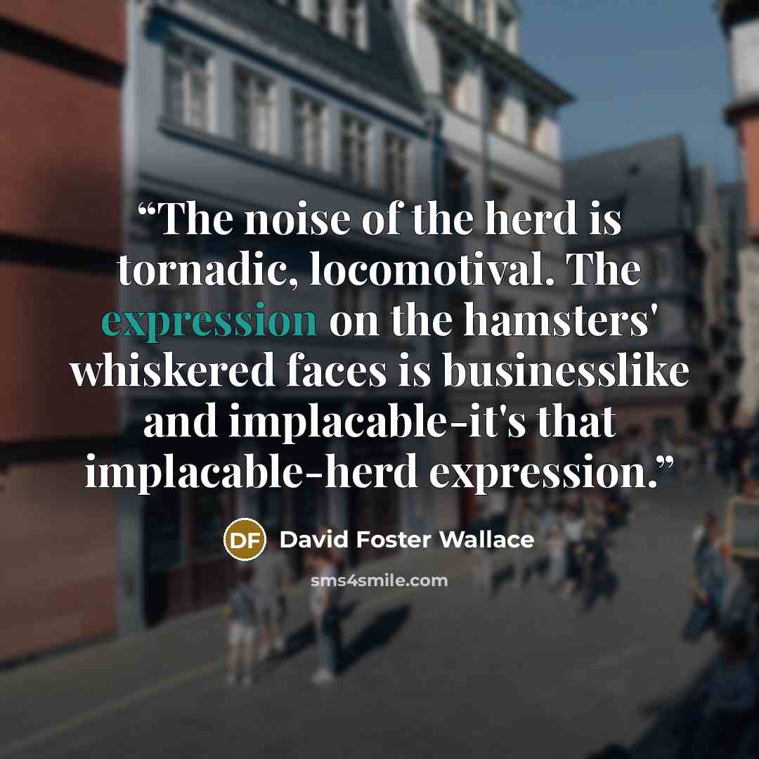 “The noise of the herd is tornadic, locomotival. The expression on the hamsters' whiskered faces is businesslike and implacable-it's that implacable-herd expression.” quote by David Foster Wallace