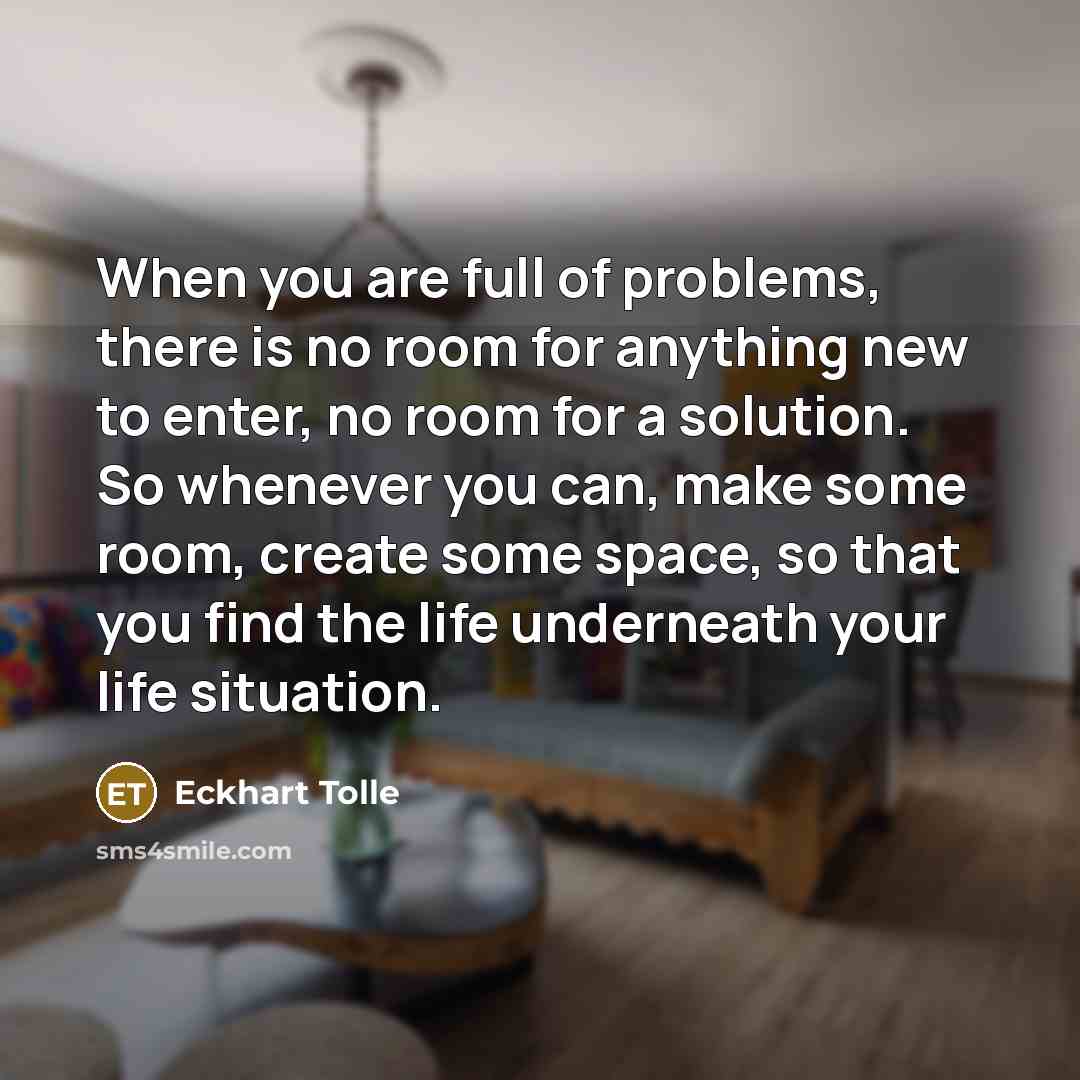 “When you are full of problems, there is no room for anything new to enter, no room for a solution. So whenever you can, make some room, create some space, so that you find the life underneath your life situation.” quote by Eckhart Tolle