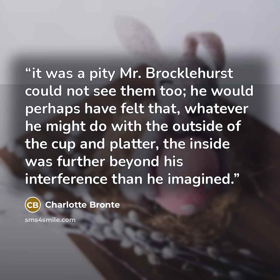 “it was a pity Mr. Brocklehurst could not see them too; he would perhaps have felt that, whatever he might do with the outside of the cup and platter, the inside was further beyond his interference than he imagined.” quote by Charlotte Brontë
