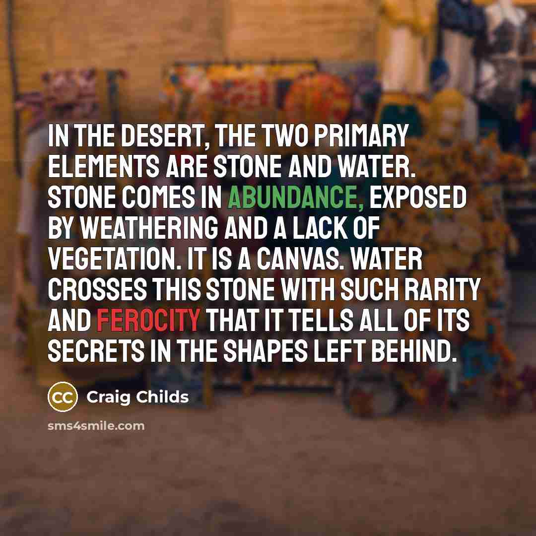 “In the desert, the two primary elements are stone and water. Stone comes in abundance, exposed by weathering and a lack of vegetation. It is a canvas. Water crosses this stone with such rarity and ferocity that it tells all of its secrets in the shapes left behind.” quote by Craig Childs