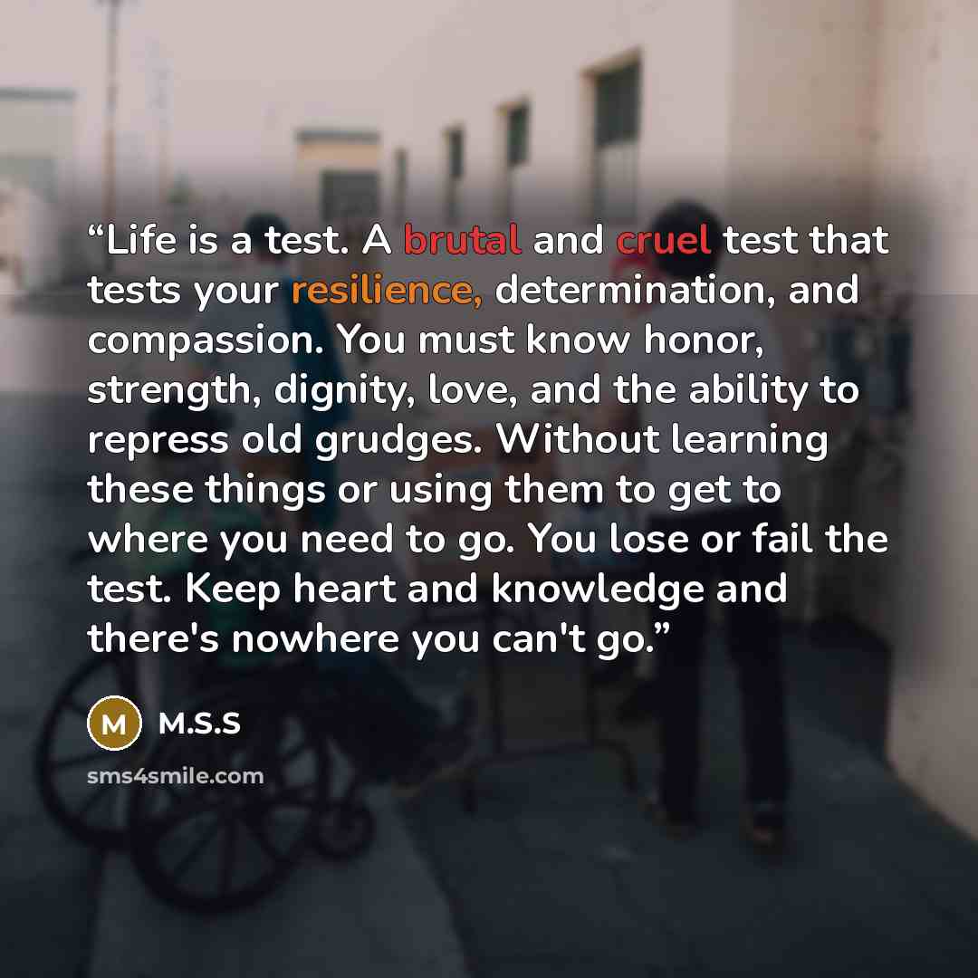 “Life is a test. A brutal and cruel test that tests your resilience, determination, and compassion. You must know honor, strength, dignity, love, and the ability to repress old grudges. Without learning these things or using them to get to where you need to go. You lose or fail the test. Keep heart…” quote by M.S.S