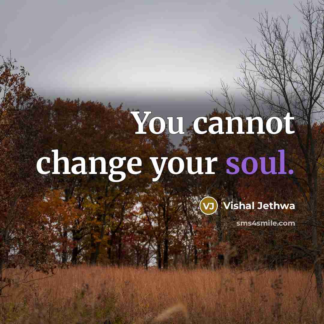 “You cannot change your soul.” quote by Vishal Jethwa