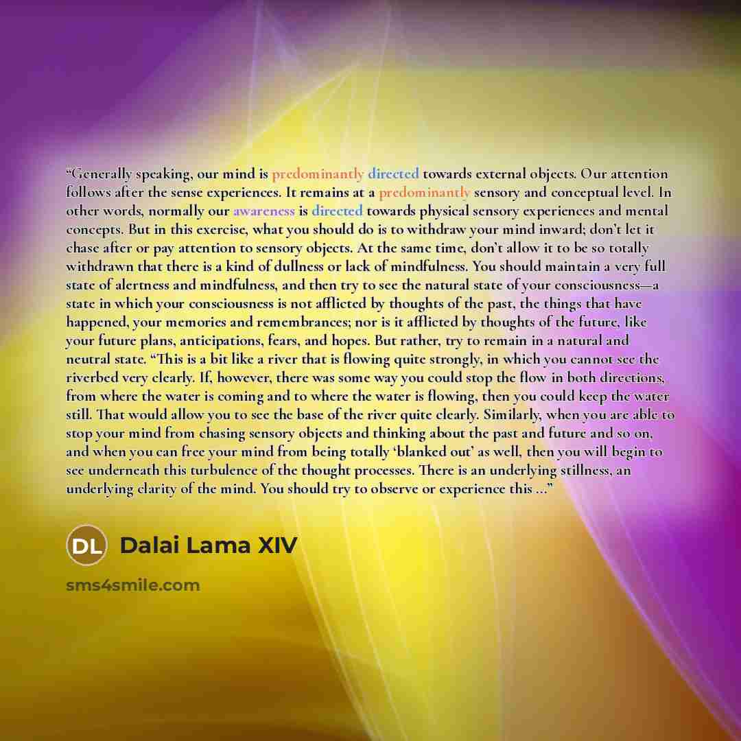 “Generally speaking, our mind is predominantly directed towards external objects. Our attention follows after the sense experiences. It remains at a predominantly sensory and conceptual level. In other words, normally our awareness is directed towards physical sensory experiences and mental…” quote by Dalai Lama XIV