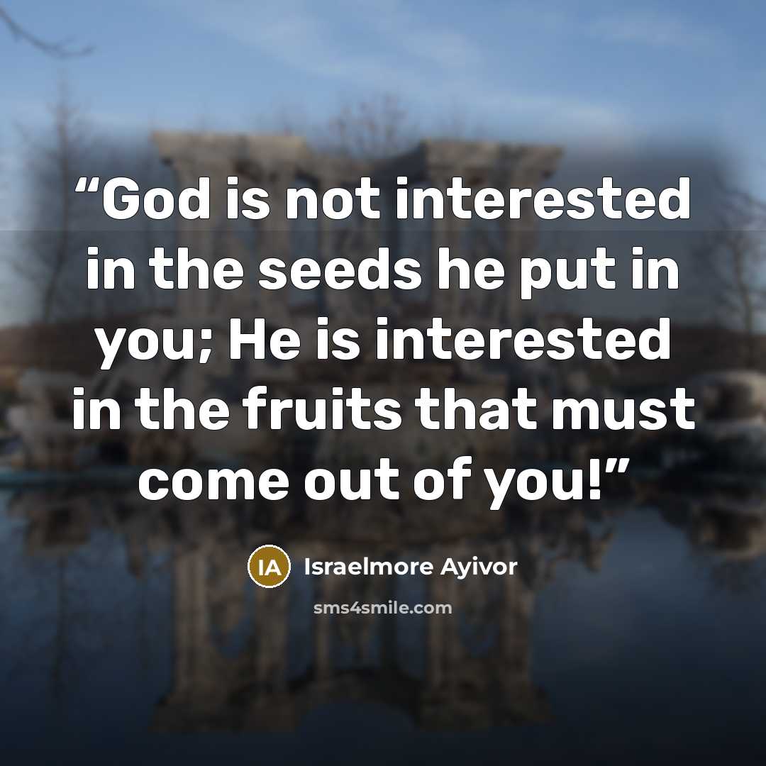 “God is not interested in the seeds he put in you; He is interested in the fruits that must come out of you!” quote by Israelmore Ayivor